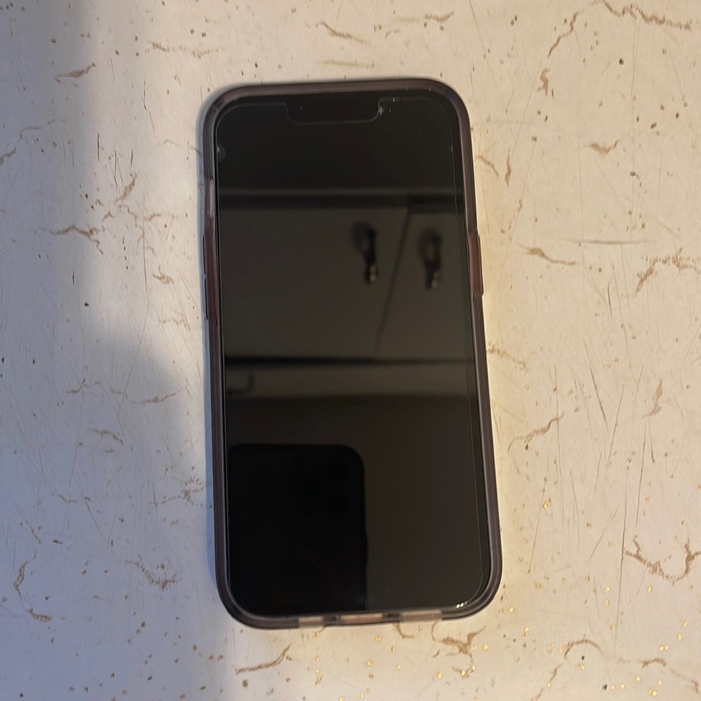 iPhone 13 pro max…